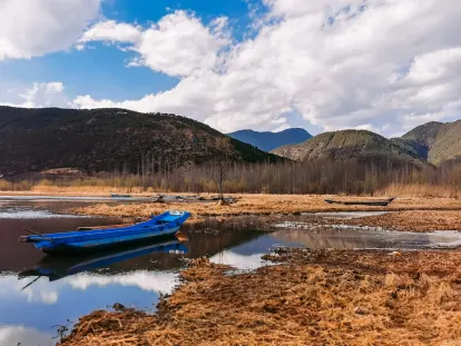 BigWins Kasino Mobilní aplikace
